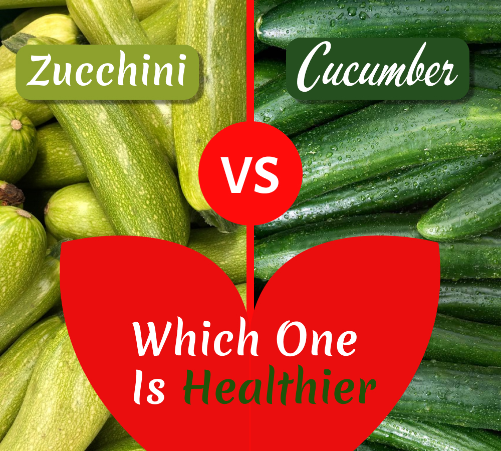 Cucumber vs Zucchini 