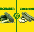 Cucumber vs Zucchini